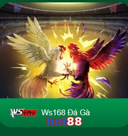 hot88
